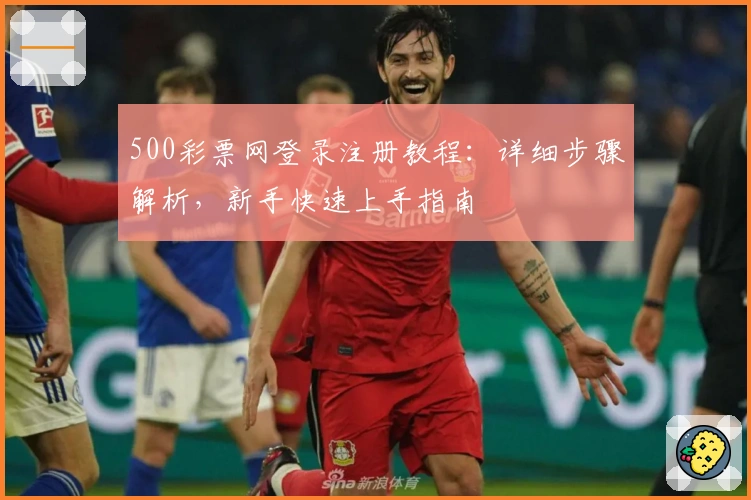 500彩票网登录注册教程：详细步骤解析，新手快速上手指南