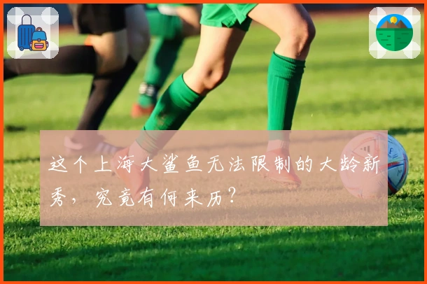 这个上海大鲨鱼无法限制的大龄新秀，究竟有何来历？